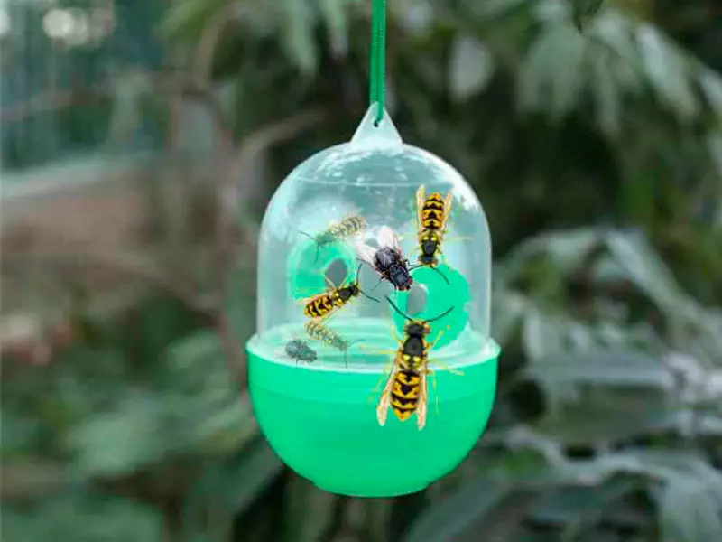 Ловушка для ос, мух и других летающих насекомых Wasp Trap в действии